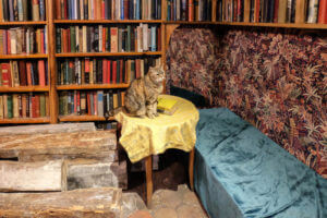 A cat sitting in the Shakespeare and Company bookstore in Paris 