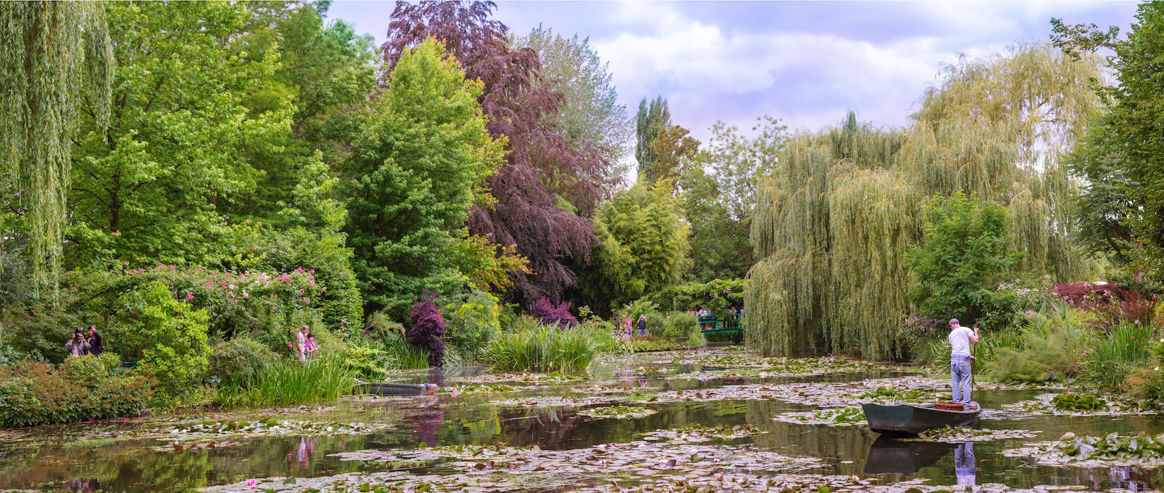 A man rowing a boat through the lilypad filled ponds of Giverny.