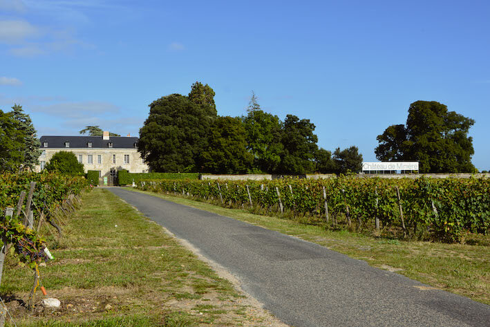 The path to Château de Minière owned by the french winemaker Kathleen Van den Berghe