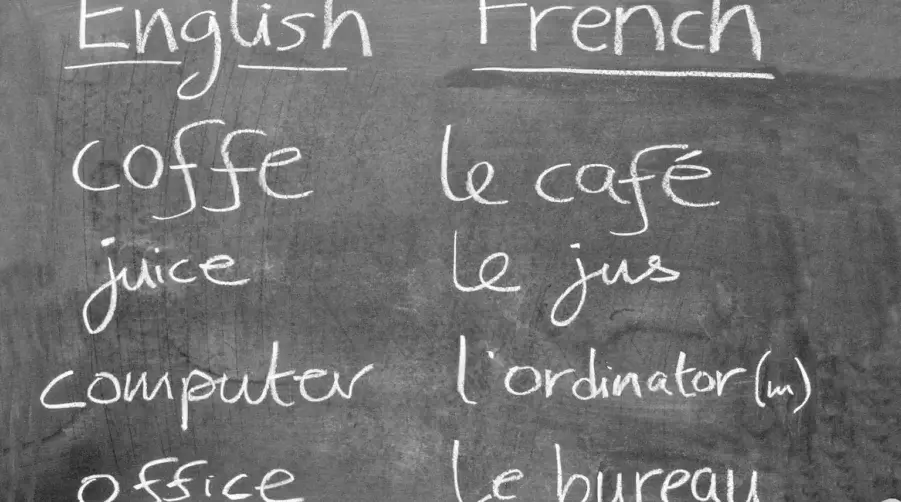 Why There Are So Many French Words in English